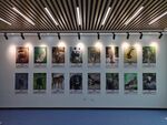 科技馆动物展厅