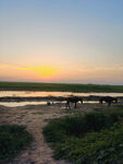 黄河滩夕阳