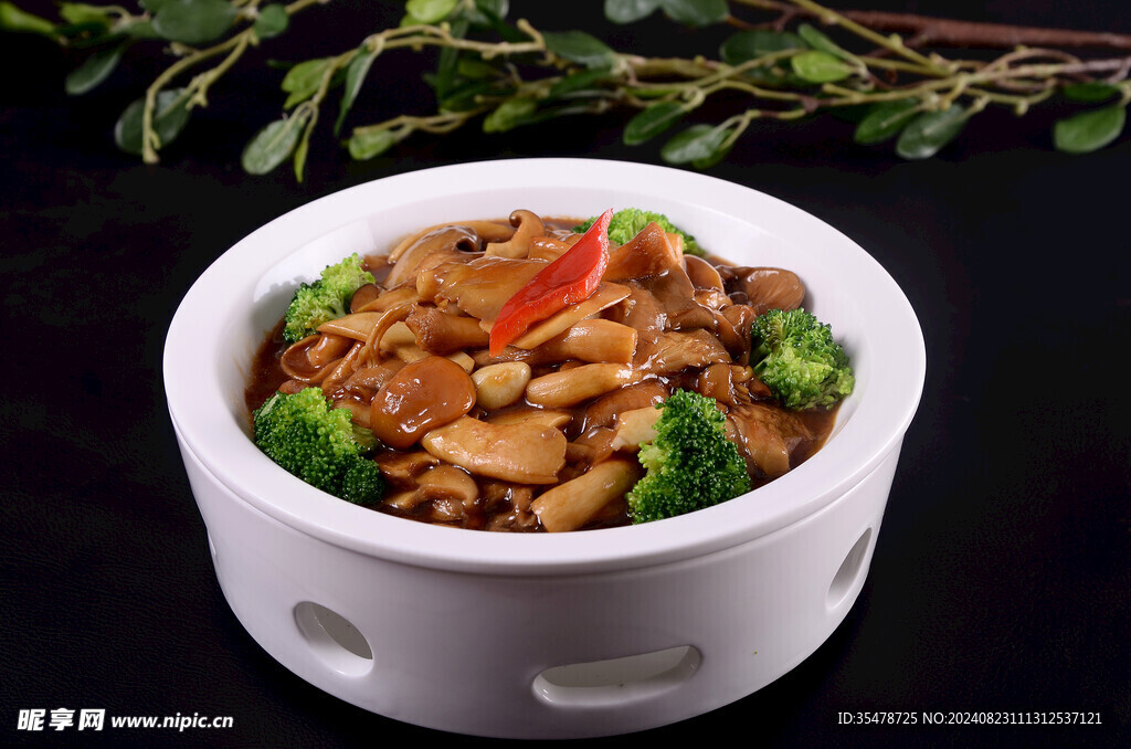 砂窝菌菇