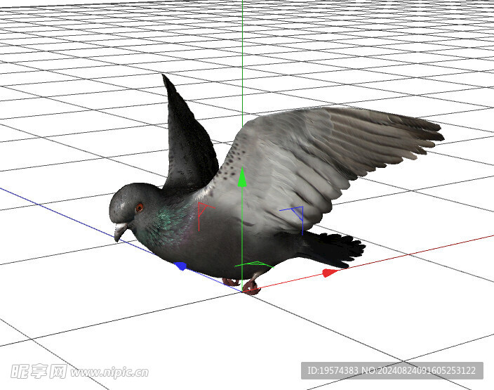 C4D模型 鸟