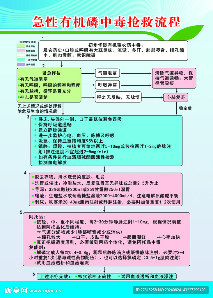 急性有机磁中毒抢救流程