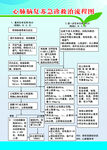 心肺脑复苏急救流程