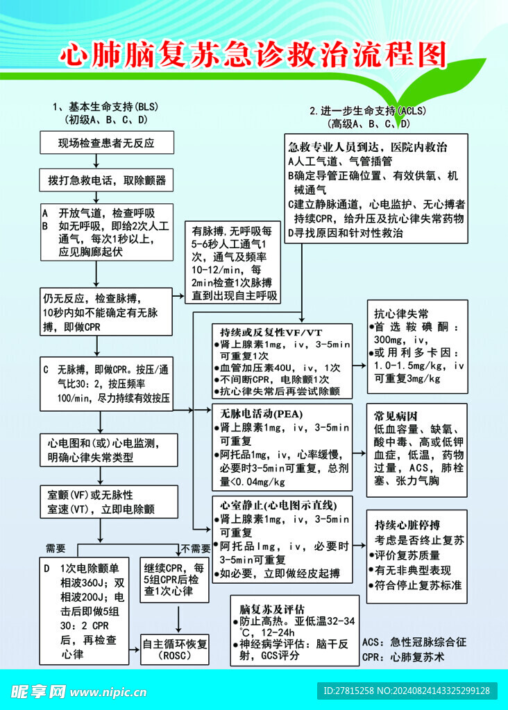 心肺脑复苏急救流程