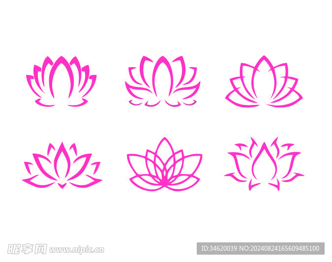 荷花莲花简笔画