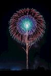 烟花盛开