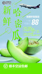 新鲜哈密瓜