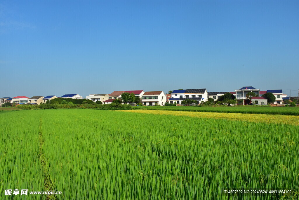 田野风光