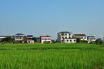 田野风光