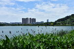 城市风景