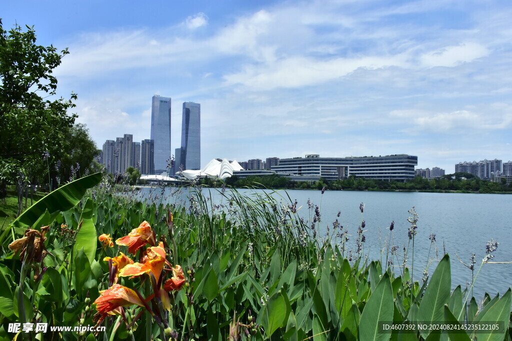 城市风景