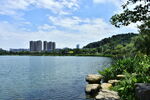 城市风景