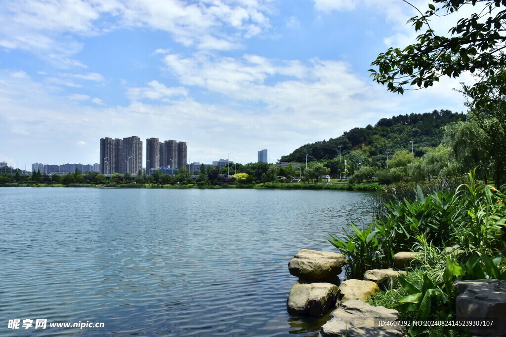 城市风景