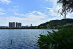 城市风景