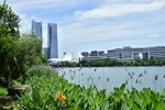 城市公园