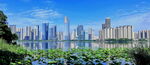 城市公园