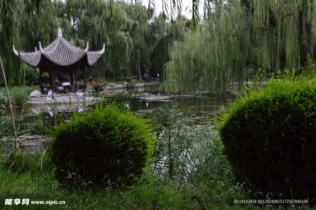 公园风景  