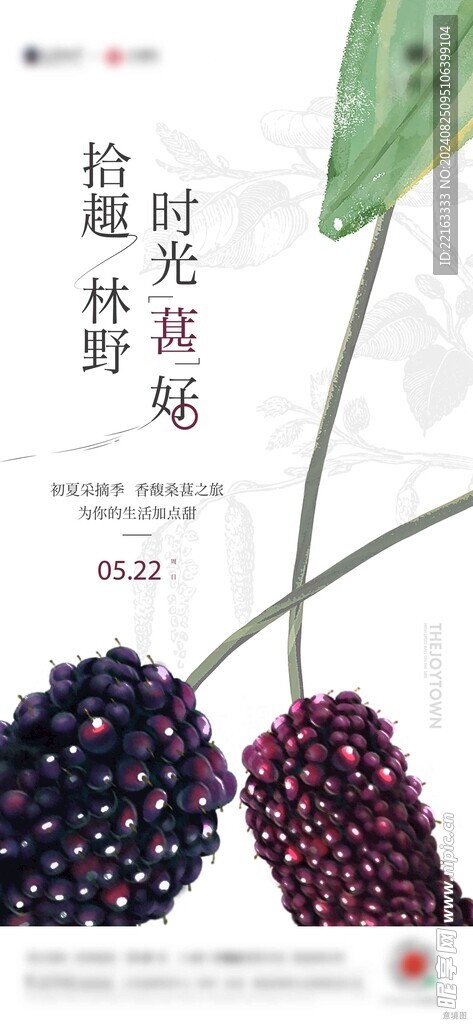 桑葚采摘活动海报