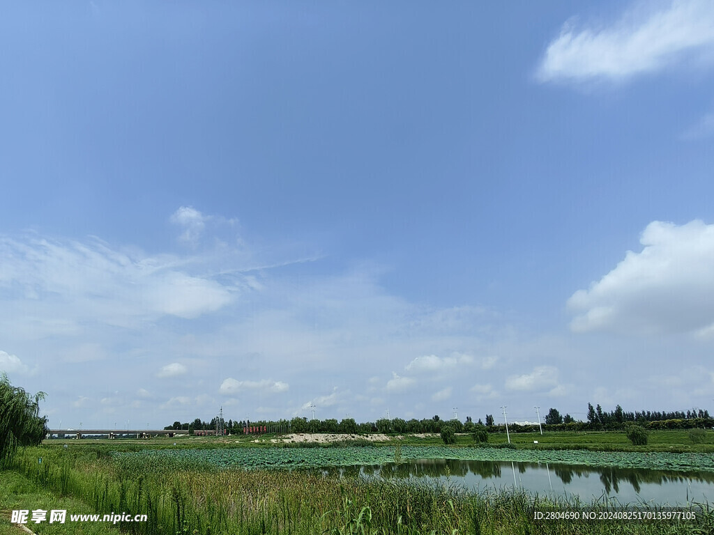 磁河生态湿地