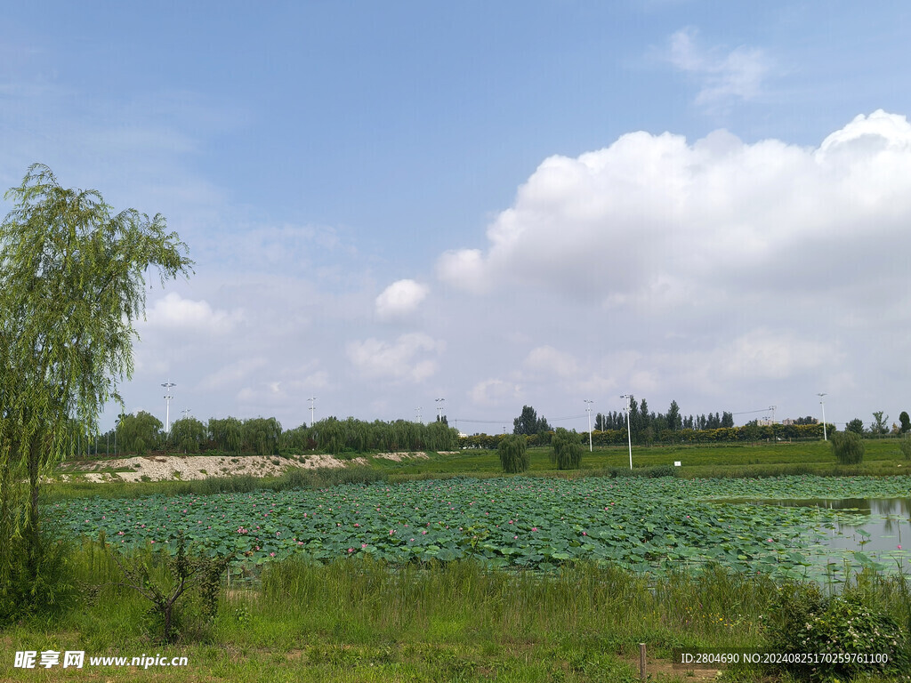 磁河生态湿地