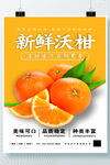 橘子海报