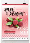 杨梅海报