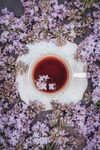 花茶
