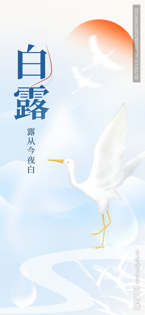 白露