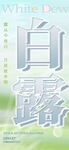 白露