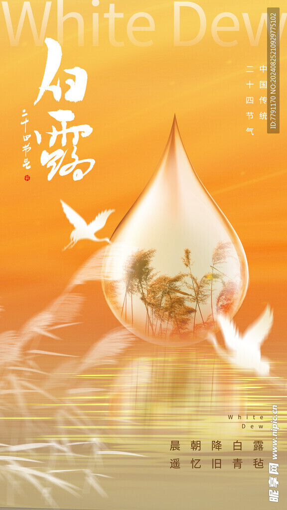 白露 