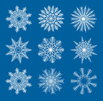 雪花