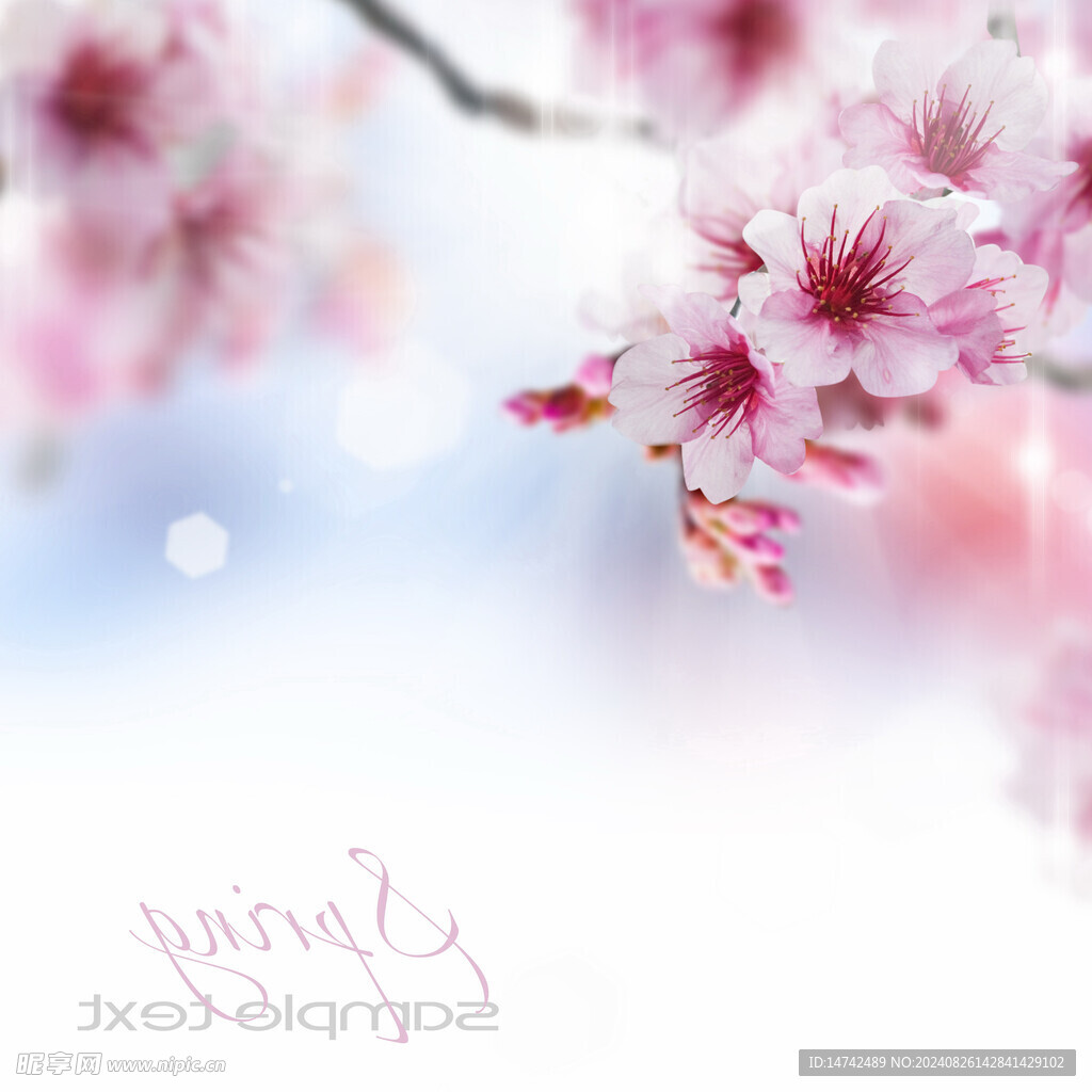 桃花背景