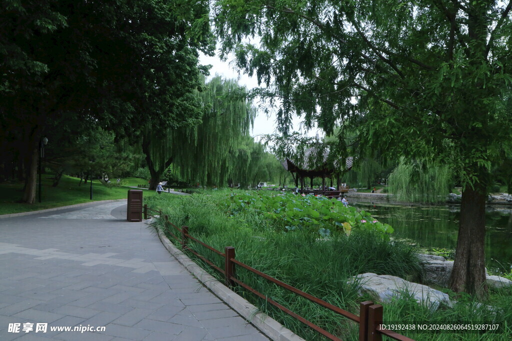 公园风景  