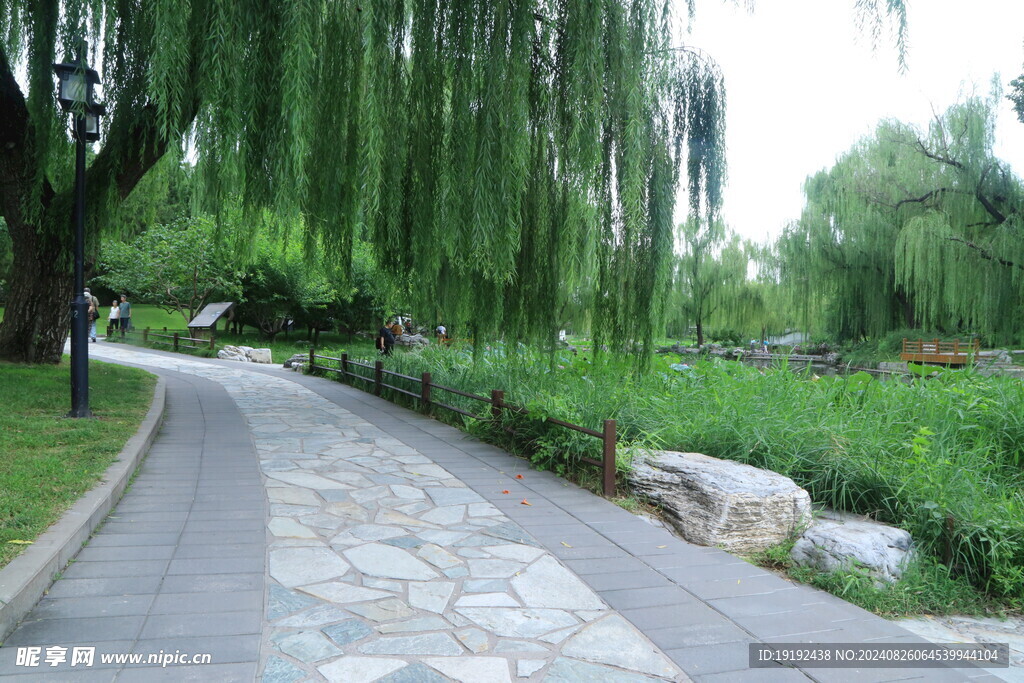 公园风景 