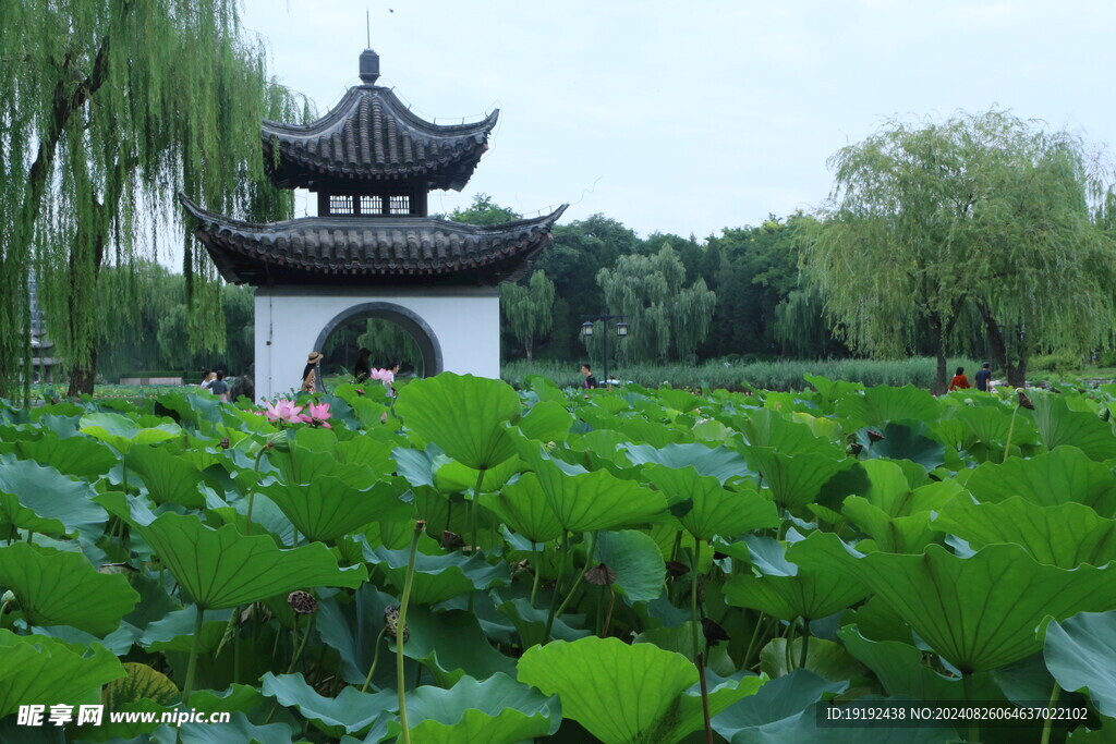 公园风景 