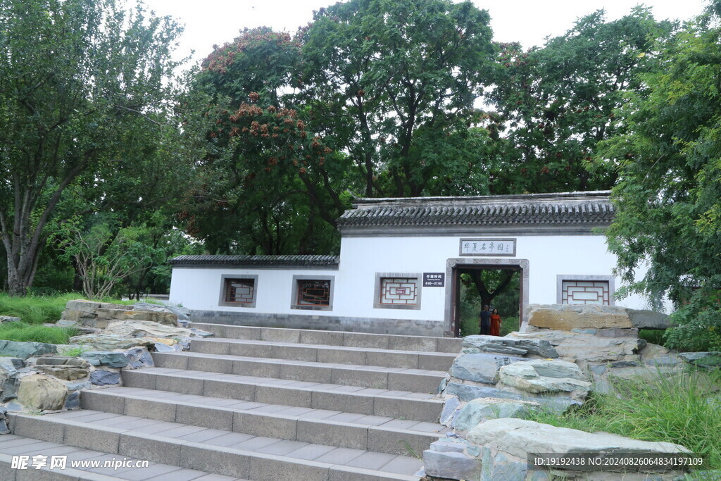 公园风景 陶然亭风景 荷花荷叶