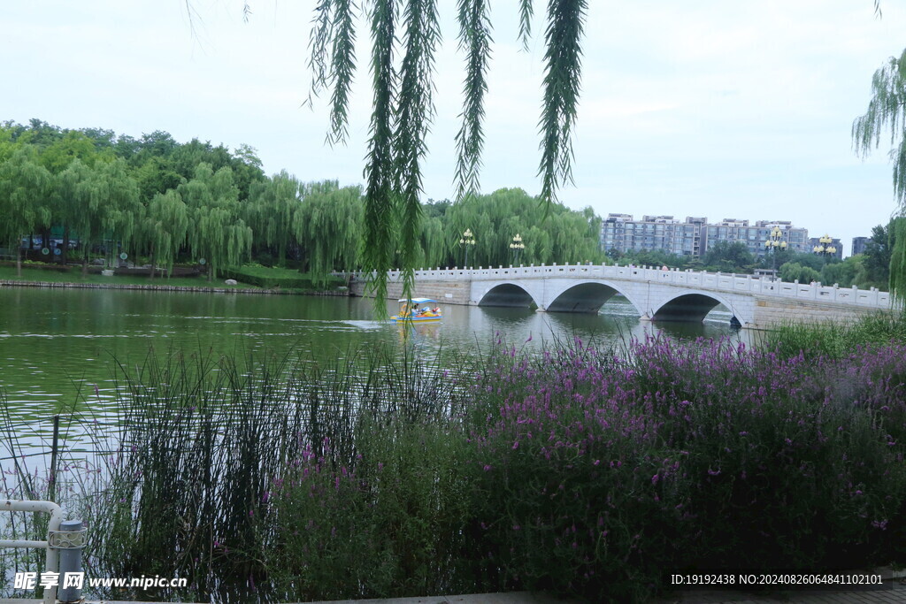 公园风景 