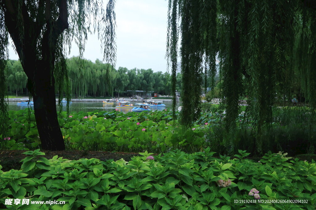 公园风景  