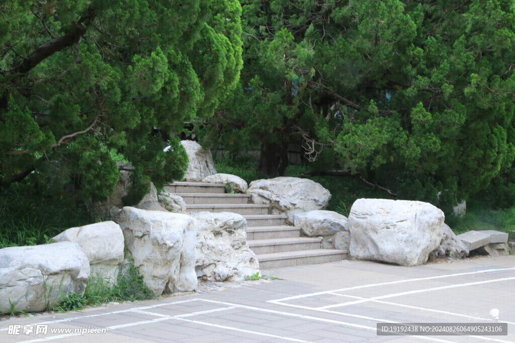 公园风景  