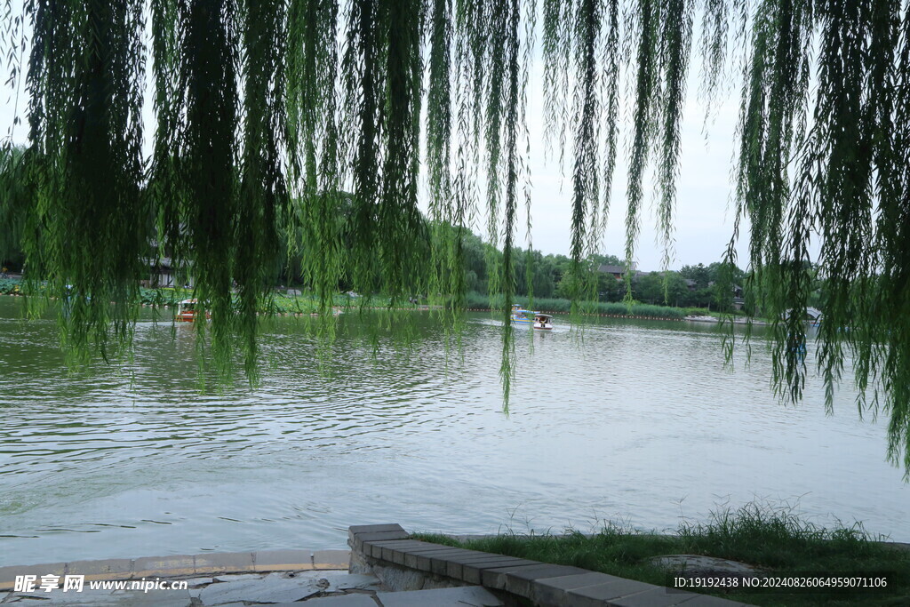公园风景  