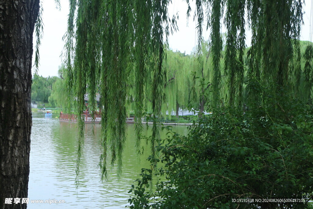 公园风景 