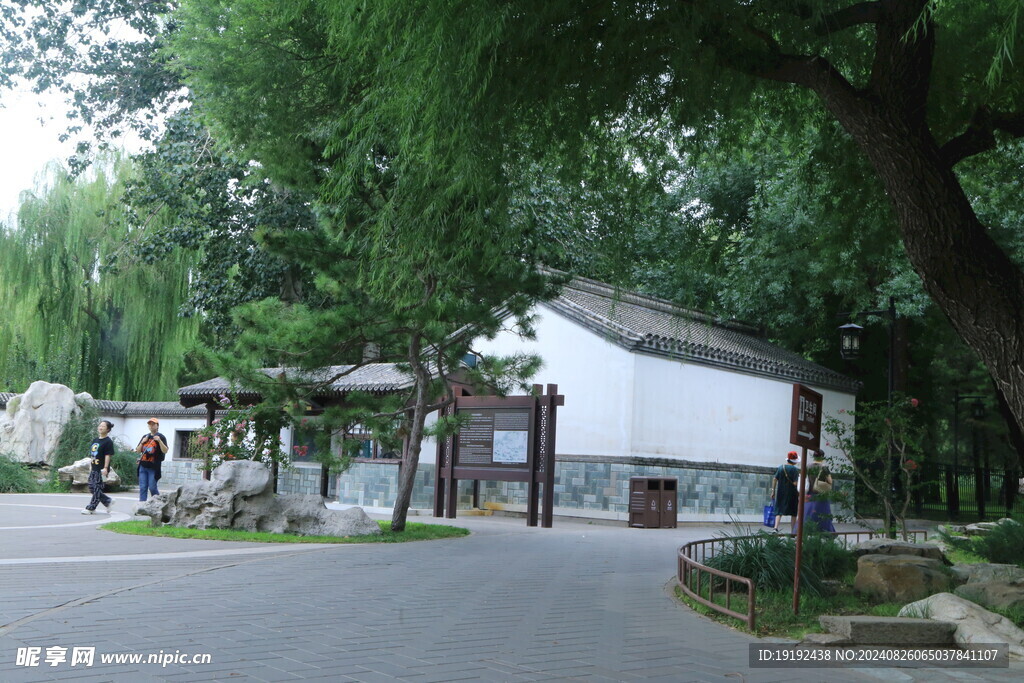公园风景 