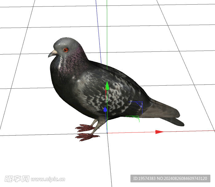C4D模型 鸟