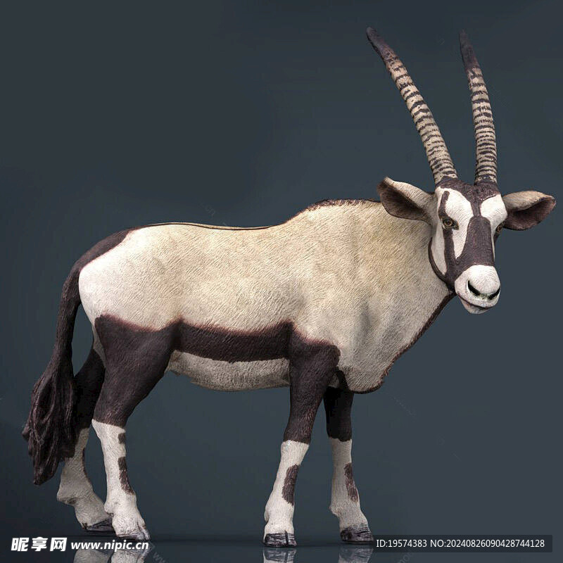 C4D模型 羚羊