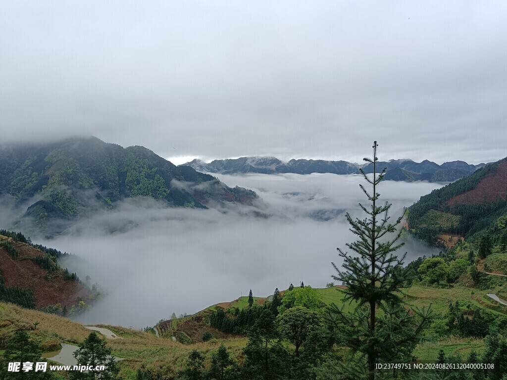 山上风光