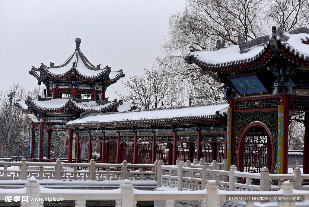 雪景