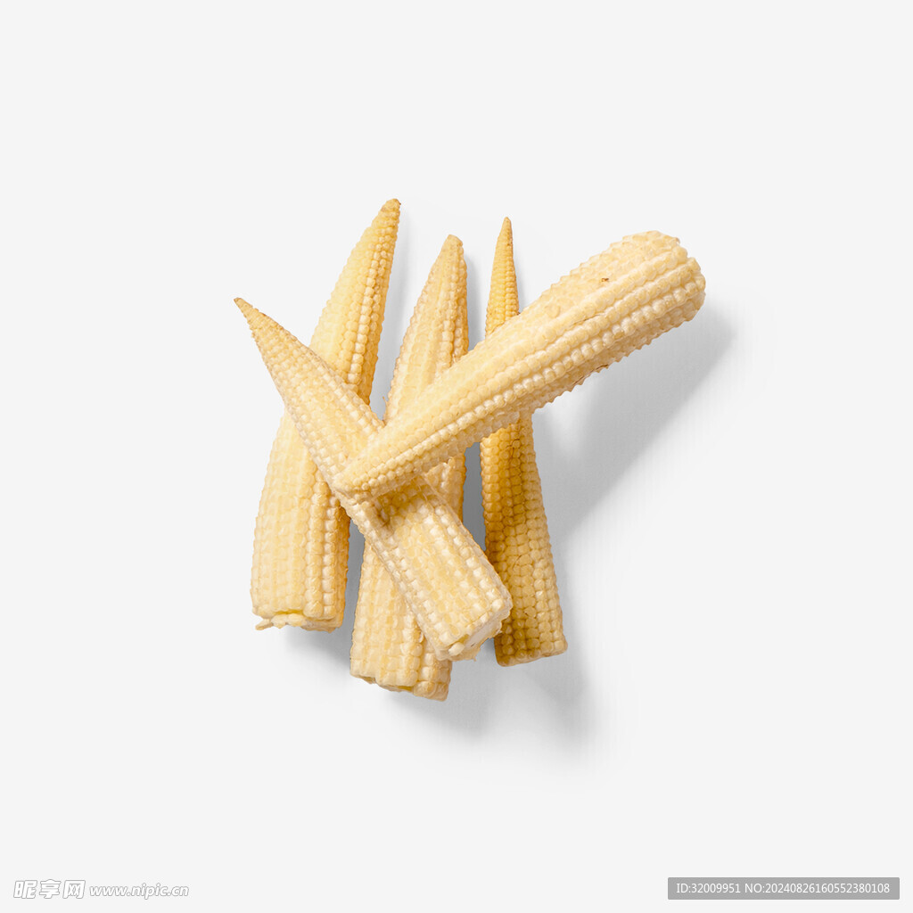 玉米            
