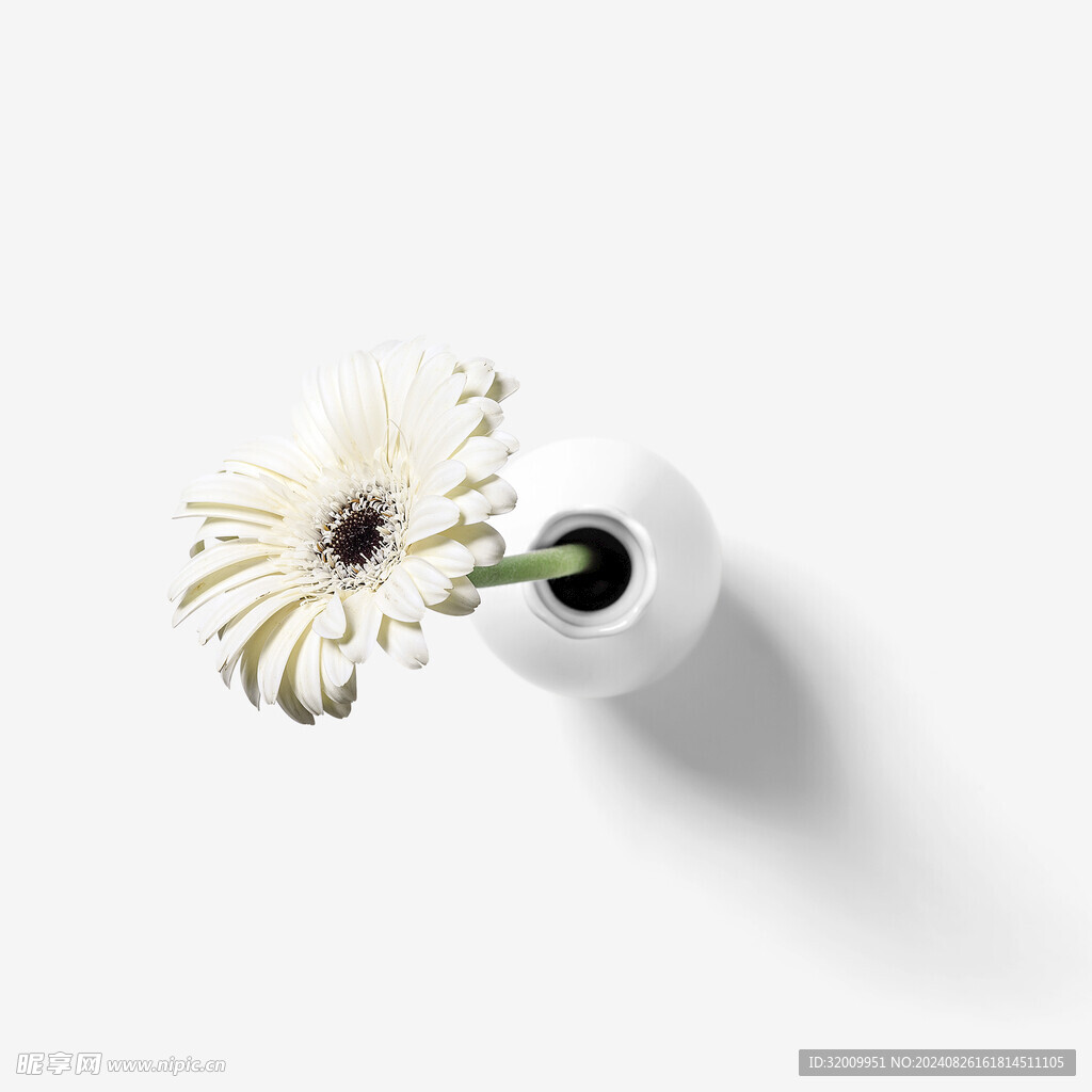 花瓶中的花         