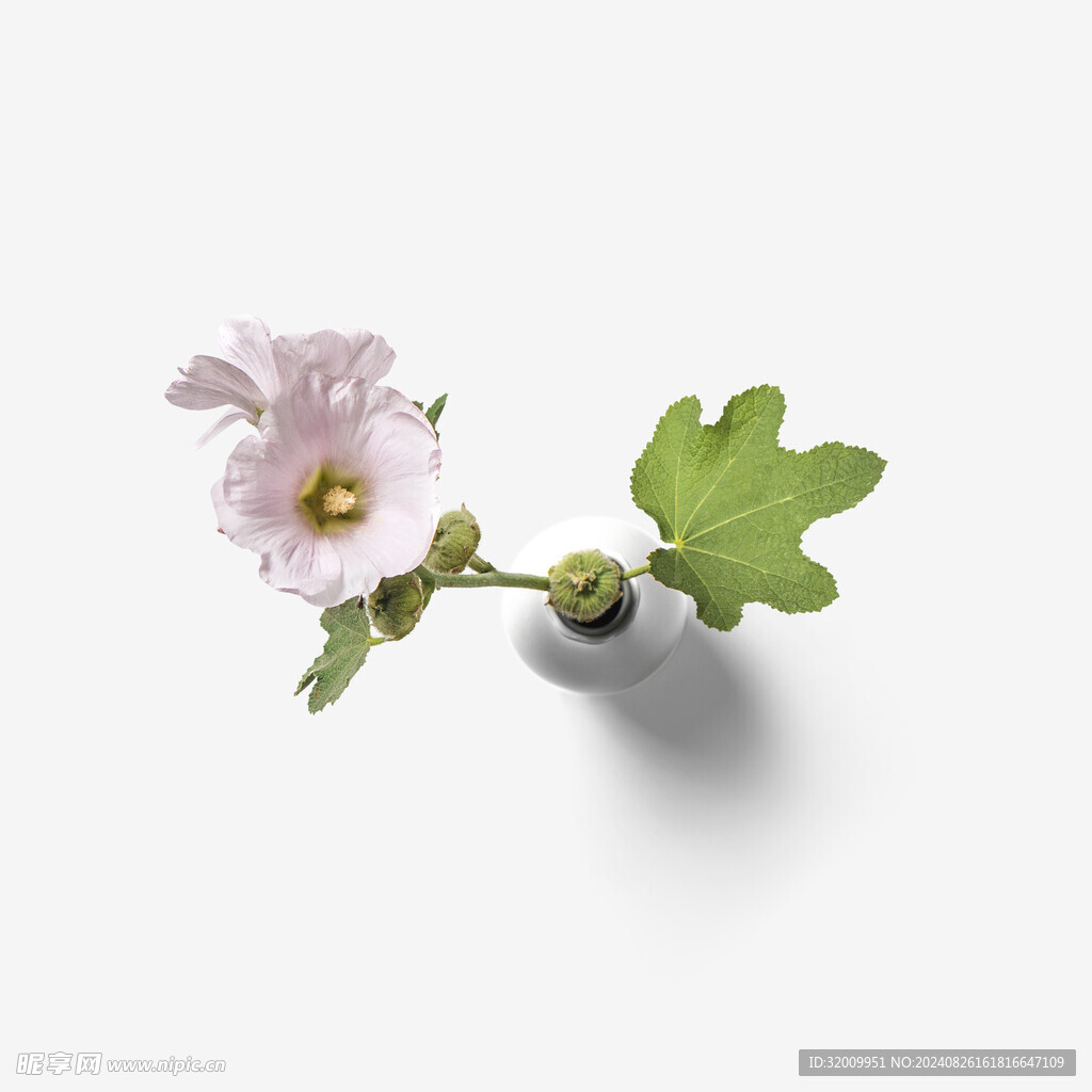花瓶中的花        