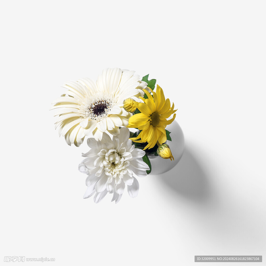 花瓶中的花朵