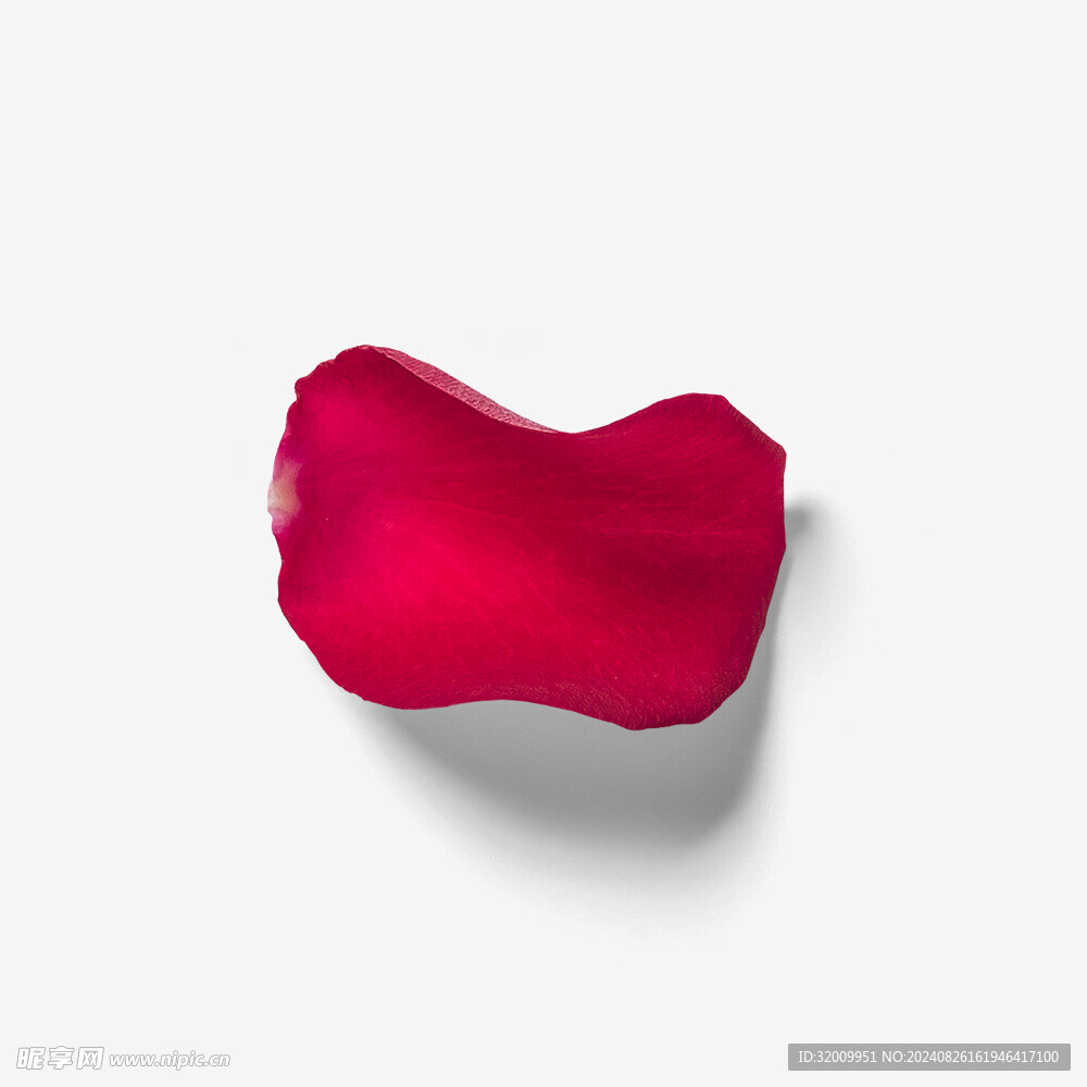 玫瑰花瓣           